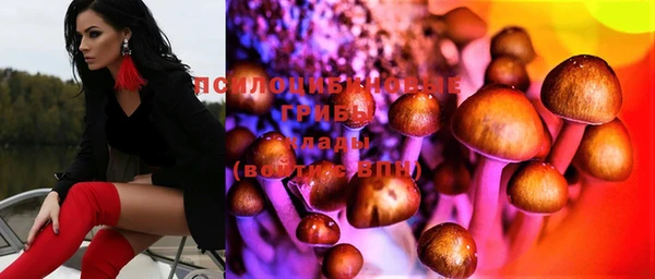 мет Бородино