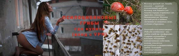 индика Липки