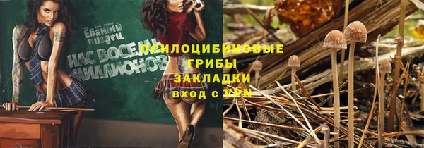 дурь Лиски